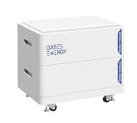 Oasesenergy LiFePO4 48V 200Ah Lithium Batterie (2Pack 100Ah) Smart BMS, Batterie intégrée 10Wh pour RV, Stockage Solaire, Stockage d'énergie pour la Maison Bateau, Camping