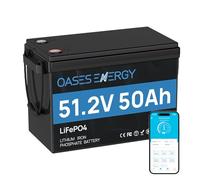 Oasesenergy Mini batterie au lithium LiFePO4 48V 50Ah avec Bluetooth BMS 100A, batterie LiFePO4 à cycles profonds 48V, énergie 2560Wh pour hors réseau, solaire, camping-car, bateau, bateau