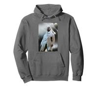 Oasis Liam Gallagher Live Glastonbury 2004 par Andy Willsher Sweat à Capuche