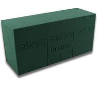 OASIS® Mousse à piquer maxlife Standard - Mousse à piquer pour fleurs fraîches, set de 20 pièces, vert foncé