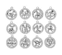 OATIPHO Lot de 12 Pendentifs en Alliage Argenté Symboles du Zodiaque Ronds Charms DIY Créatifs pour Bracelets Porte-Clés et Bijoux Faits Main Décorations Artisanales Polyvalentes
