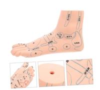 OATIPHO Modèle Pied Acupoint Gauche Réaliste et Durable pour Enseignement Réflexologie Massage Modèle Pédicure Acupuncture pour Étudiants et