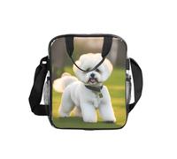 OAZCVBNN Bichon Frise Dog On The Grass Print Lunch Bag for Transparent Food Storage Bento Box School and Office Travel Picnic