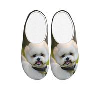 OAZCVBNN Bichon frisé sur l'herbe Imprimé chien polyvalent Anti-boulochage Chaussons lavables pour homme et femme Chaussures confortables et élégantes