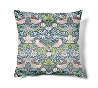 Obal William Morris Housse de coussin carrée en velours au design original pour canapé-lit, salon, chambre à coucher (45 x 45 cm) - Vert, bleu sarcelle, voleur de fraises