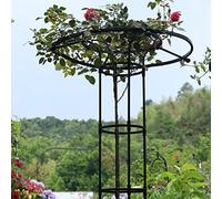 Obélisque 210 cm - Support de plantes en acier inoxydable pour plantes grimpantes, vignes, légumes et fleurs - Tour de treillis pour lierre, roses, concombres et plantes en pot