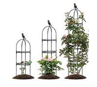 Obélisque De Jardin, Tuteur Plante Grimpante, Pour Plantes En Pot Intérieur Extérieur, Diamètre De L'anneau 25cm 30cm, Hauteur 120cm 150cm 180cm, Facile À Assembler(Color:Black,Size:25x120cm/9.8x47.2i