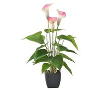 Obelunrp Fausses Plantes en Pot, 45 cm / 18 Pouces artificielles Calla Lily Plants en Pot décor Artificiel, Faux décor de Bureau en Pot en Pot pour Jardin de Bureaux à Domicile (Rose)