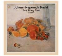 Ober-Osterreichisches David Trio - String Trios [Compact Discs]