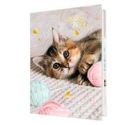 Oberthur - 1 Agenda Scolaire Journalier - Visuel Chatons Pelote de Laine - Août 2026 à Juillet 2027 - Format 12 x 17 cm