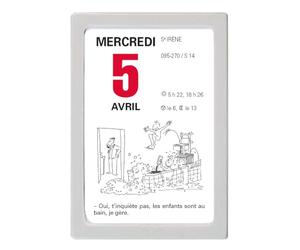 OBERTHUR - 1 Bloc Calendrier à Effeuiller Ephémérides Humoristique - Janvier 2026 à Décembre 2026 - Dimension 9.2 x 6.3 cm - Boitier Couleur Grise