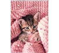 Oberthur - 1 Cahier de textes Chaton - Dimension : 15 x 21 cm - Reliure Brochée