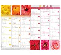 OBERTHUR - 1 Calendrier Mural Annuelle Illustré PEFC - Thème Fleurs - Dimension 27 x 21 cm - Janvier 2026 à Décembre 2026