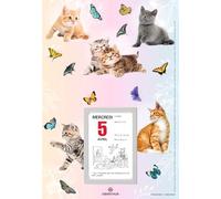 OBERTHUR - 1 Plaque NOVA - Dimension 18 x 26 cm - Avec Bloc Calendrier à Effeuiller Éphémérides Humoristique - Janvier 2026 à Décembre 2026 - Visuels Aléatoires