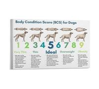 Obesity Prevention Guide Dog Body Condition Score Chart BCS Poster Veterinary Wall Art for Clinic and Pet Owner Education(Framed,08X12inch(20X30cm))