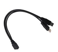 Obetuens USB3.0 Femelle vers Double USB Mâle, 30 cm Convertisseur de Câble D'Extension Alimentation Auxiliaire, Adaptateur de Câble D'Extension de Données d'alimentation Séparateur Câble y Noir