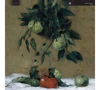 Obey by Exploded View [Audio CD] NEUF