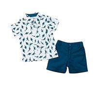 OBiQuzz Ensemble de t-shirts dinosaures à manches courtes - Bleu - Petit dinosaure - Ensemble de vêtements pour bébé, bleu, 5-6 ans
