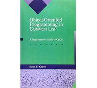 Object Oriented Programming in Common Lisp: A Programmers Guide to the Common Lisp Object System
