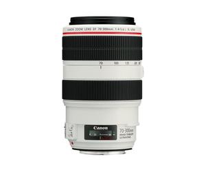 Objectif Canon EF - Fonction Zoom - 70 mm - 300 mm - f/4.0-5.6 L IS USM - Canon EF