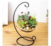 Objet décoratif - Vase en verre suspendu - Cadre en fer - Design boule - Pour plantes succulentes