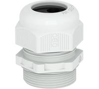 OBO Bettermann 2022126 Presse-étoupe 1.5 mm plastique, PA 25 pc(s)