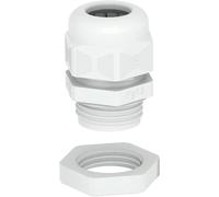 OBO Bettermann 2024663 Presse-étoupe plastique, PA gris clair 25 pc(s)