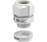 OBO Bettermann 2024919 Presse-étoupe 1.5 mm plastique 1 pc(s)