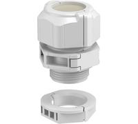 OBO Bettermann 2024970 Presse-étoupe 1.5 mm plastique gris clair 1 pc(s)