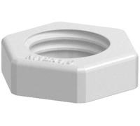OBO Bettermann 2049503 116 M12 LGR PS Contre-écrou PG12 plastique gris clair