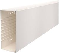 OBO Bettermann 6026338 Goulotte de câble (L x l x H) 2000 x 230 x 100 mm 1 pc(s) blanc crème