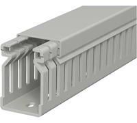 OBO Bettermann 6178010 Goulotte de câblage (L x l x H) 2000 x 25 x 40 mm 1 pc(s) gris roche