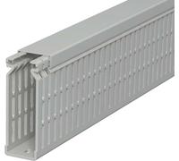 OBO Bettermann 6178225 Goulotte de câblage (L x l x H) 2000 x 25 x 80 mm 1 pc