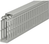 OBO Bettermann 6178420 Goulotte de câblage (L x l x H) 2000 x 25 x 75 mm 1 pc(s) gris roche