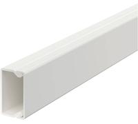 OBO Bettermann 6191010 Goulotte de câble (L x l x H) 2000 x 30 x 17.5 mm 1 pc(s) blanc pur