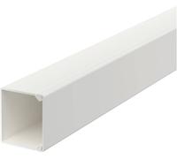 OBO Bettermann 6191096 Goulotte de câble (L x l x H) 2000 x 30 x 30 mm 1 pc(s) blanc pur