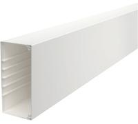 OBO Bettermann 6191304 Goulotte de câble (L x l x H) 2000 x 170 x 80 mm 1 pc(s) blanc pur