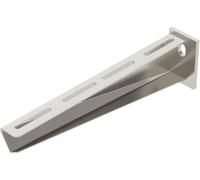 OBO Bettermann 6442854 Console sur mur et sur montant (L x l x H) 310 x 20 x 80 mm 1 pc(s) métal