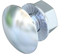 OBO Bettermann FRSB 6X12 F 6406122 Vis ronde et plate 6 mm 12 mm acier galvanisé à chaud 100 pc(s)