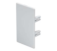 OBO Bettermann OBO Bettermann Embout de finition 60×110 mm WDK HE60110RW Quantité:1