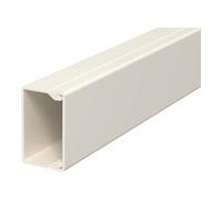 OBO Bettermann OBO Bettermann Goulotte murale et plafond 25×40 mm, PVC WDK25040CW Quantité:2
