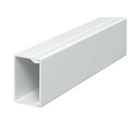 OBO Bettermann OBO Bettermann Goulotte murale et plafond 25×40 mm, PVC WDK25040RW Quantité:2