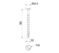 OBO Bettermann OBO Bettermann Vis à tête disque 22,5 x 84 mm G HT 10x80 TD Quantité:50