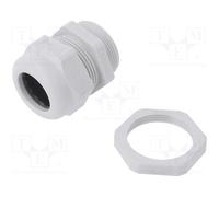 OBO BETTERMANN V-TEC-PG29+-LGR Presse-étoupe