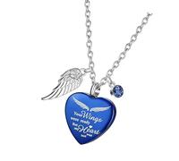 Obotsnoi Collier urne funéraire pour animal de compagnie disparu, stockage sécurisé en acier inoxydable, pendentif pour cendres d'animaux de compagnie