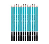 Obotsnoi Lot de 12 crayons à dessin en bois pour artistes professionnels, débutants, œuvres d'art détaillées et utilisation en extérieur