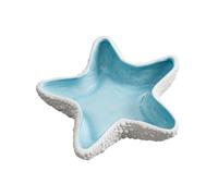 Obotsnoi Plat de rangement pour bijoux en faïence Motif échinoderme côtier Plan dense Cadeau prêt à l'emploi Plage Maison Deck Permanent Faïence Bijoux Propriétaire