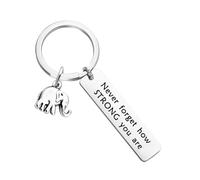 Obotsnoi Porte-clés éléphant inspirant en métal pour décoration de la maison, symbole de sagesse, affirmation positive pour ami, famille, décoration de bureau en métal, a, taille unique