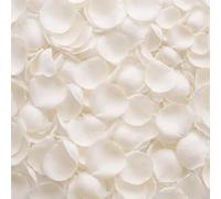 OBreezify Pétales de rose blanches séchées 250 g | Lot de 2 000 confettis en forme de fleur éternelle pour cadeaux, décoration de fête de mariage, centre de table
