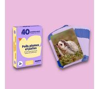 Observe Edition - Cartes Flash Animaux